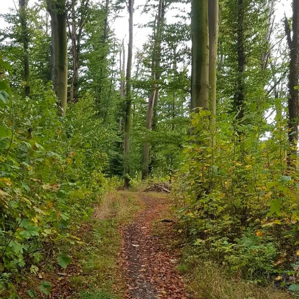 Puky GK2 Gepäckträgerkorb